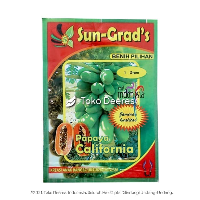 Benih Pepaya California - Sun Grads - 60 btr - Agroria Dramaga Bogor a