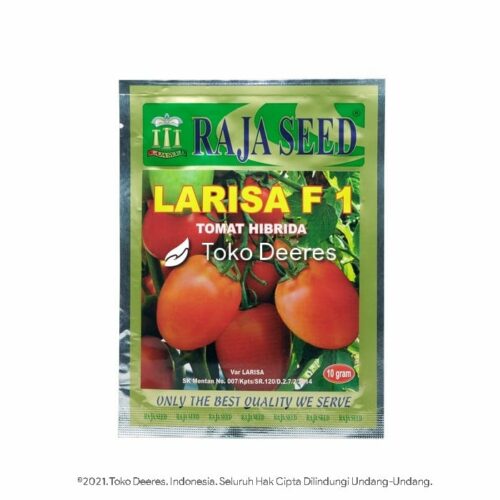 Benih Tomat, Larisa F1, Raja Seed