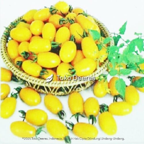 Benih Tomat Mini - Golden Sweet F1 - 45 btr - Known You Seed