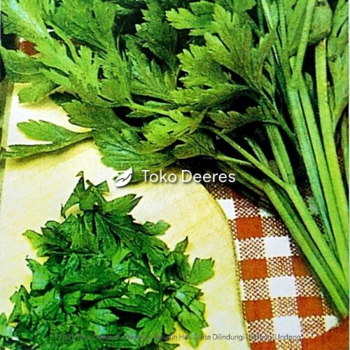 Benih Seledri - Celery Cut Green - 100 gr - Winon Seed