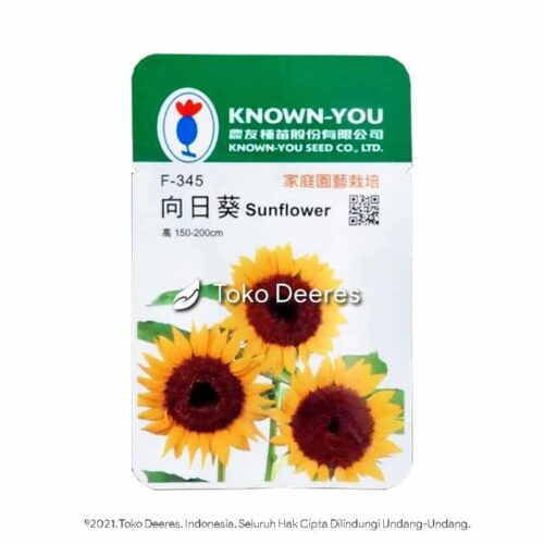 Benih Bunga Matahari - Sunflower - Known You Seed