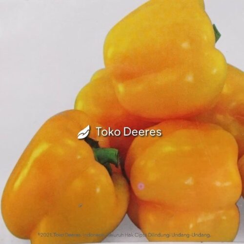 Benih Paprika Kuning - Golden Star F1 - 15 btr - Known You Seed