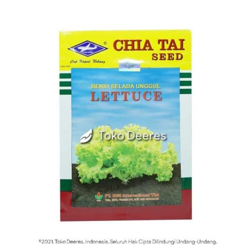 Benih Selada - Lettuce - 15 gr - Cap Kapal Terbang