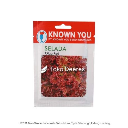 Benih Selada Merah - Olga Red - 5 gr - Known You Seed