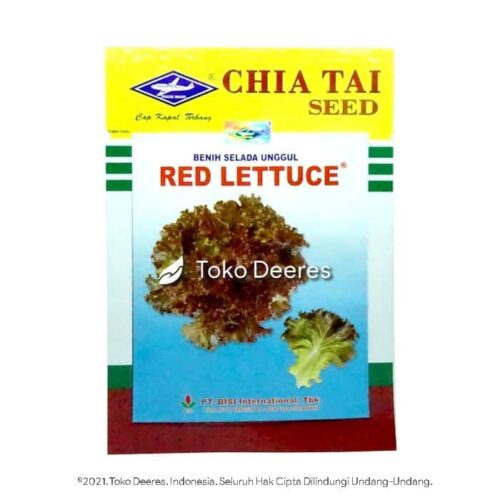 Benih Selada - Red Lettuce - 10 gr - Cap Kapal Terbang