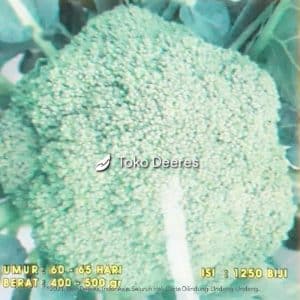 Benih Brokoli - Lucky - 1250 btr - Primasid c