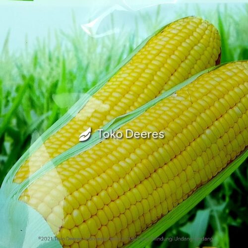 Benih Jagung Manis - Secada F1 - 200 gr - Cap Panah Merah c