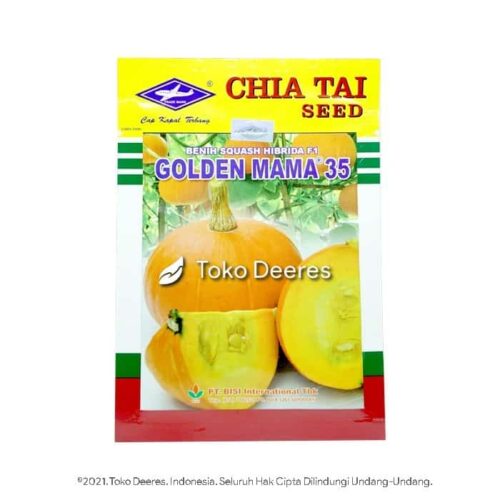 Benih Labu - Golden Mama 35 - 10 gr - Cap Kapal Terbang a