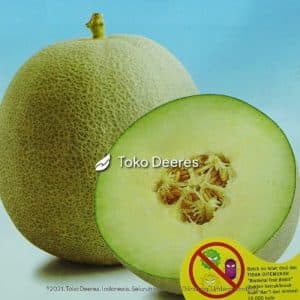 Benih Melon - Amanta F1 - 500 btr - Cap Panah Merah c