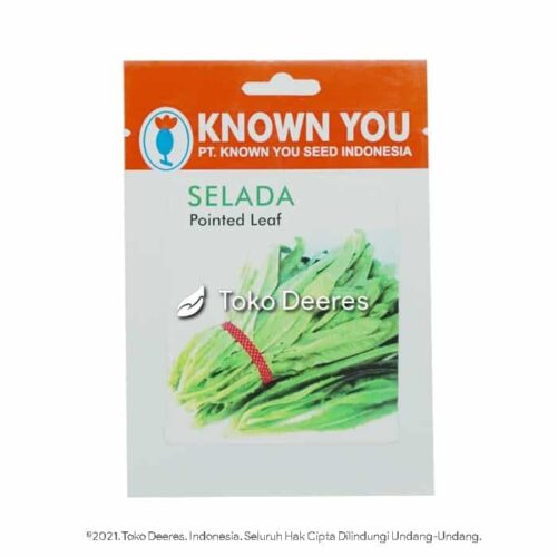 Benih Selada - Pointed Leaf - 5 gr - Known You Seed