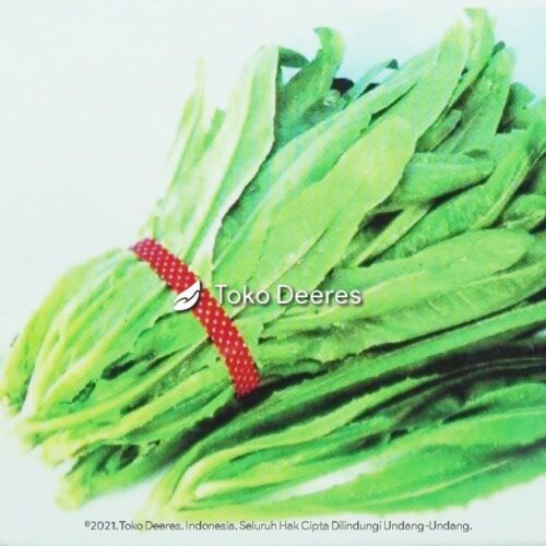 Benih Selada - Pointed Leaf - 5 gr - Known You Seed