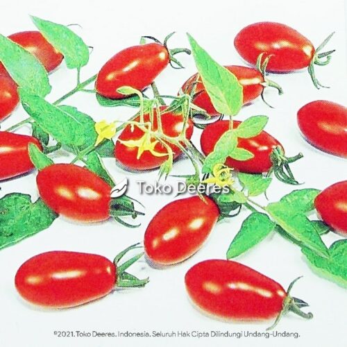 Benih Tomat Mini - Floridity F1 - 50 btr - Known You Seed