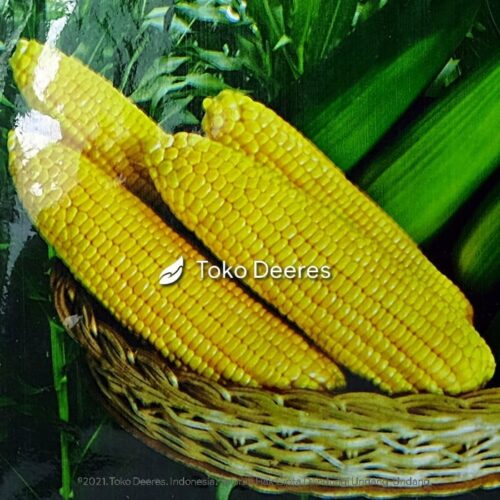 Benih Jagung Manis - Sweet Boy - 250 gr - Cap Kapal Terbang