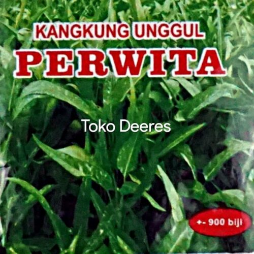 Benih Kangkung Unggul Perwita - 900 btr - Jaya Seeds