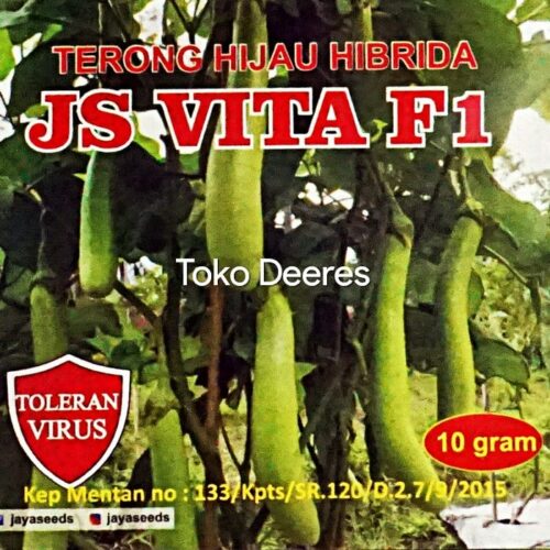 Benih Terong Hibrida - JS VITA F1 - 10 gr - Jaya Seeds