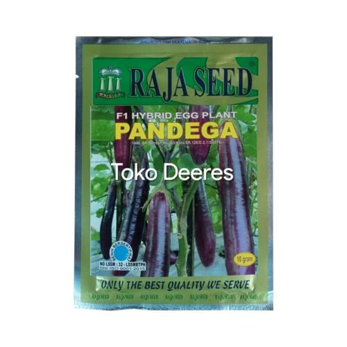 Benih Terong Ungu - Pandega - 10 gr - Raja Seed