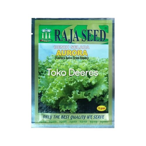 Benih Selada - Aurora - 10 gr - Raja Seed