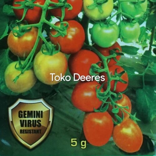 Benih Tomat Tania - 5 gr - Eston Seed