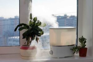 Air Humidifier untuk Tanaman