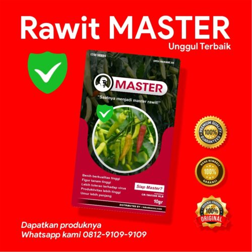 bibit cabe rawit master