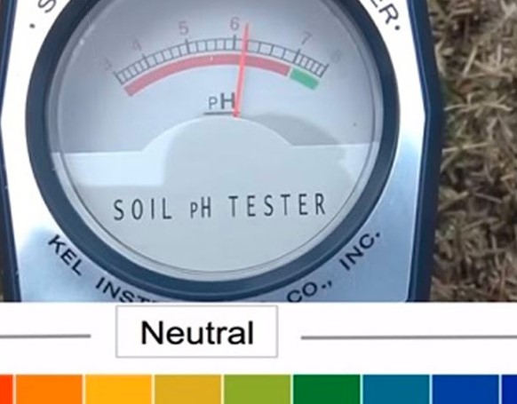 5 Cara Menurunkan Ph Tanah Toko Deeres